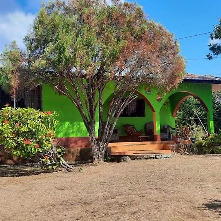 Hospedaje Tropical Dreams South End エクステリア 写真
